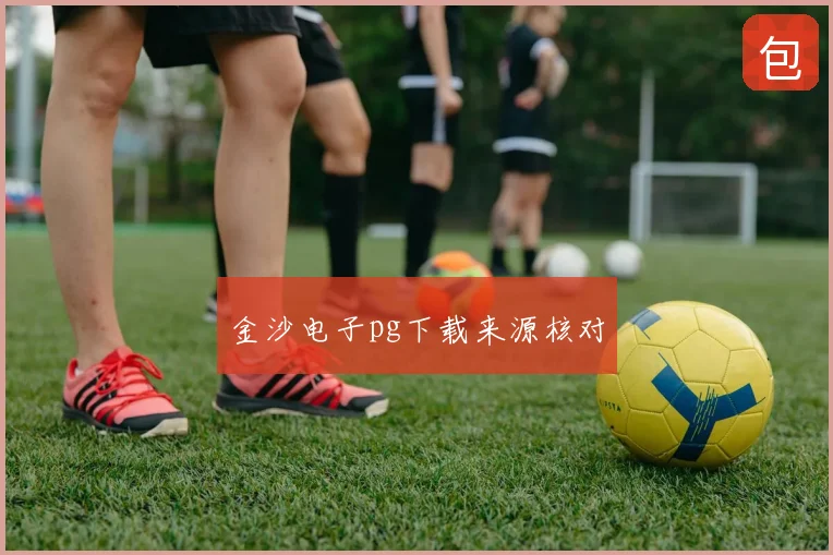 金沙电子pg下载来源核对